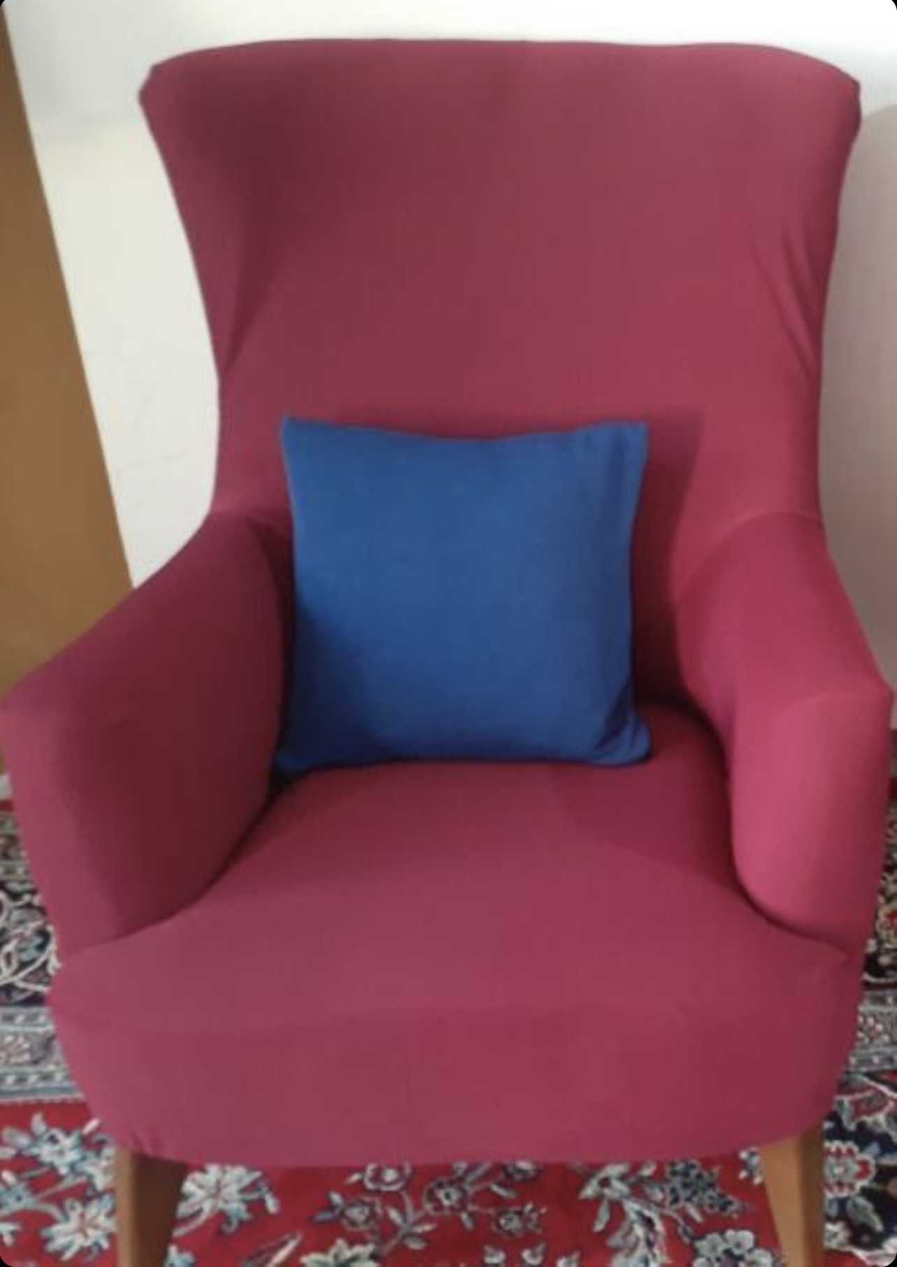 13031IMG_E5425 - Copy.JPG